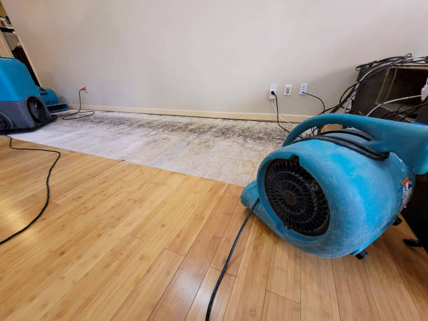 Professional Structural Drying technician working in Custer, SD